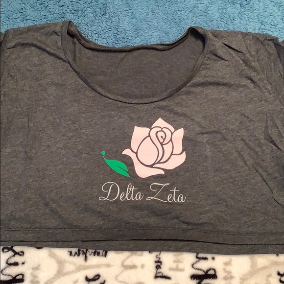 Delta Zeta Crop Top, American Apparel Grey Small - Picture 2 of 2